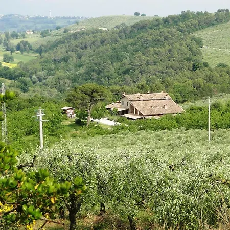 Belsito Pian Di Boccio *