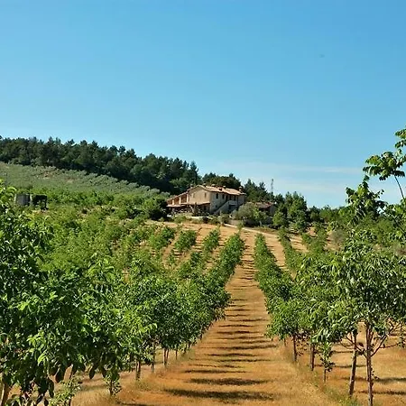 Εξοχικό σπίτι Belsito Pian Di Boccio Bevagna